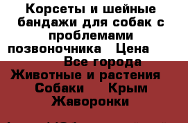 Корсеты и шейные бандажи для собак с проблемами позвоночника › Цена ­ 2 500 - Все города Животные и растения » Собаки   . Крым,Жаворонки